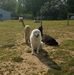 Patrick Cassese - Facebook