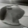 patrickcastania - @patrick.castania - TikTok