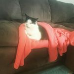 Patrick Castle - @hit_my_smoke - Instagram