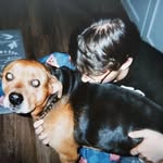 Patrick Cater - @beachballbop - Instagram