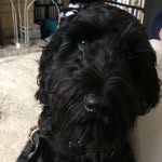 Patrick Cavanagh - @cavanagh_patrick - Instagram