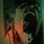 Patrick Cavanaugh - @cavanaughpatrick - Instagram