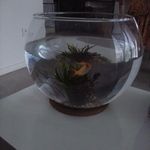 patrick ceroni - @patrickceroni - Instagram