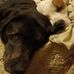 Patrick Chadwick - Facebook