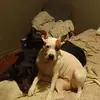Patrick Chadwick - @patrick.chadwick4 - TikTok