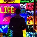 Patrick Chambers - @patrick.chambers88 - Instagram