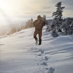 Patrick Chambers - @patrick.inmaine - Instagram
