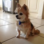 Patrick Chen - Facebook