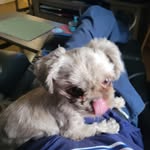 Patrick Chenard - @krueger6669 - Instagram