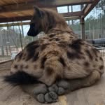 Keevin Patrick Childers - @keevinchilders - Instagram