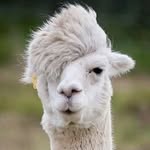 @chill_patrick_ - Instagram