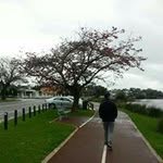Patrick Chow - @patrick.chow.9655 - Instagram