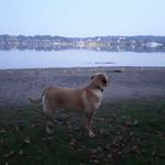 Patrick Christen - @patrick.christen.39501 - Instagram