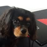Patrick - @patrick_christoffersen - Instagram