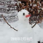 Patrick Chui - @patrickcmchui - Instagram