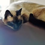 Patrick Cinçon - @patrickcincon - Instagram