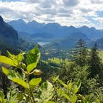 Patrick Clasen - @patrick.clasen.71 - Instagram