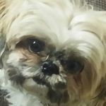 Patrick Clausen - @patrick_maneedaeng_clausen - Instagram