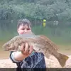 Aussie fishing✝️ - @patrickclover15 - TikTok