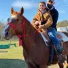 bullhauler13 - @patrickclyde2 - TikTok