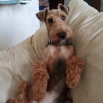 Clyde Patrick - @clyde_patrick_ - Instagram