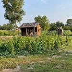 Patrick Clyne - @pinelakegardens - Instagram