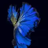 PATRICK CO - @patrick.co91 - TikTok