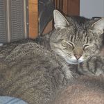 Patrick Coderre - @patrick_coderre - Instagram