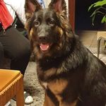 Patrick De Coen - @patrickdecoen - Instagram