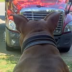 Patrick Coffin - @patrick.coffin.5496 - Instagram