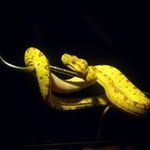 Patrick Colbert - @patrick.colbert.35 - Instagram
