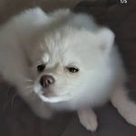 Patrick colbert - @colbert8721 - Instagram