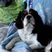Patrick Colin - Facebook