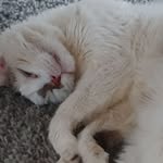 Patrick Colin - @patrick.colin.31521 - Instagram