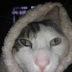 Patrick Colin - @patrickcolin287 - Instagram