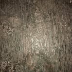 Patrick Coll - Facebook