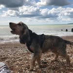 Patrick Collins - @patrickcollinslandscapes - Instagram