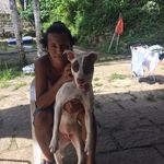 Patrick Jr. - @patrick_collarespt - Instagram