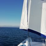 patrick - @patrick.collette7 - Instagram