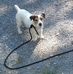Pat Colonna - Facebook