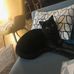 Patrick Colonna - Facebook