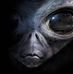 Patrick Colonna - Facebook