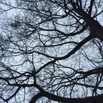 Patrick Comeaux - @patrick_comeaux - Instagram