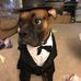 Patrick Commodore - Facebook