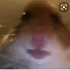 Patrick Concannon512 - @bigpaudie09 - TikTok