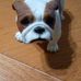 Patrick Coney - Facebook