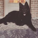 Patrick Confer - @conferpatrick - Instagram