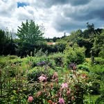 Patrick Croke - @patrick_connectingtonature - Instagram