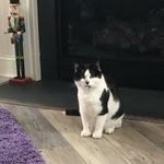 Patrick Conneely - @patrick.conneely - Instagram