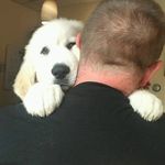 Patrick Conroy - @patrick.conroy - Instagram